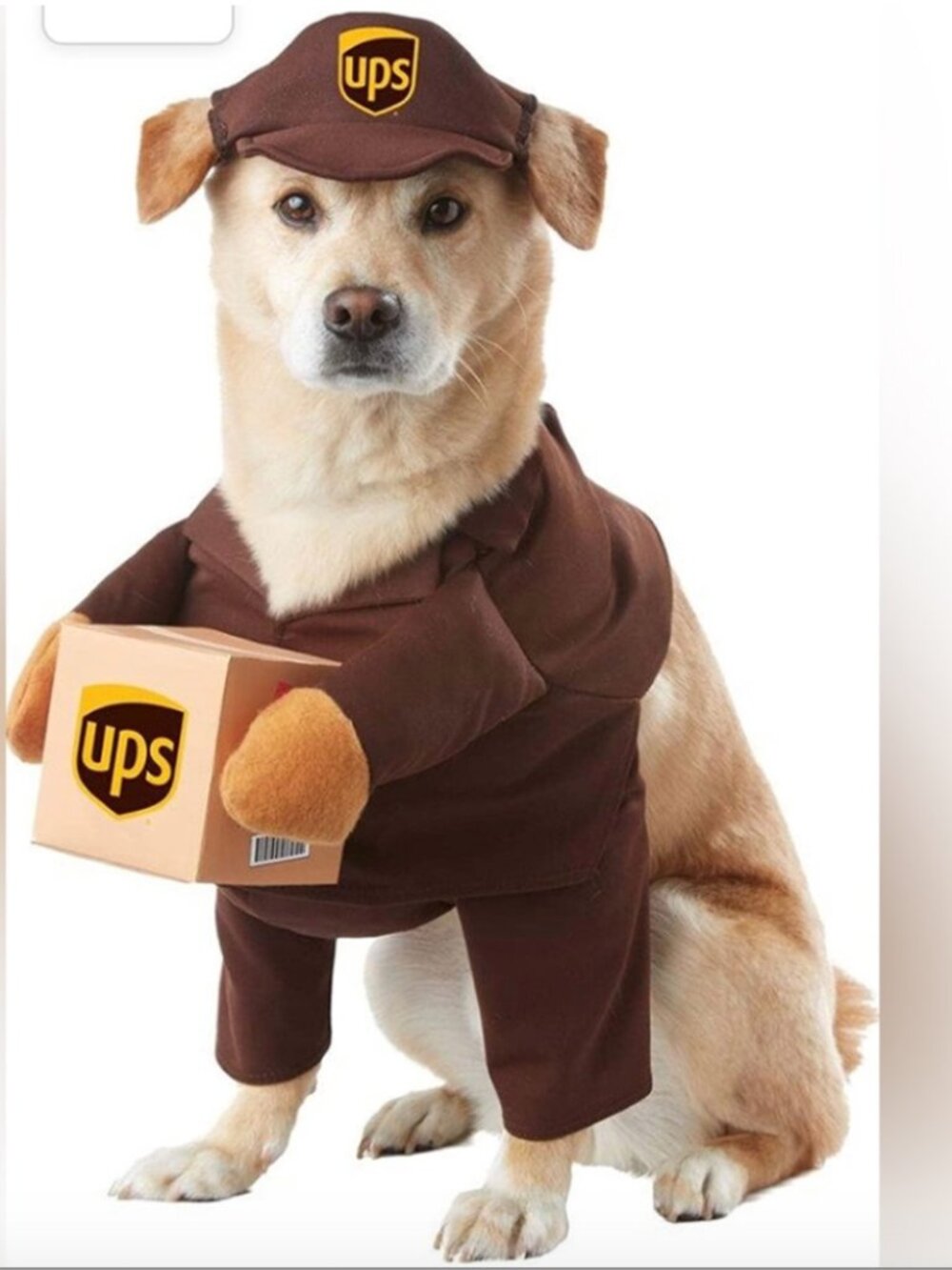 Halloween UPS Dog Costume, Medium